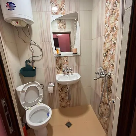 Daniel Guest house *